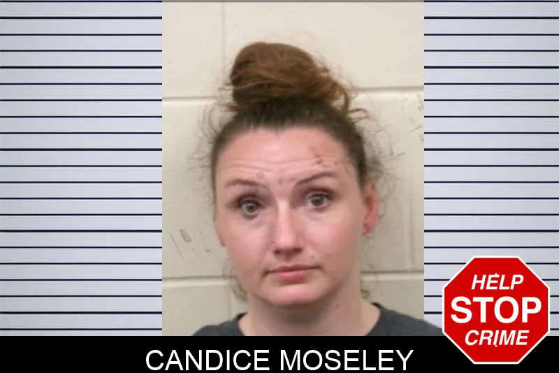 Candice Moseley Mugshots