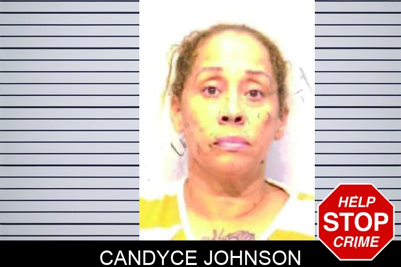 Candyce Johnson Mugshots