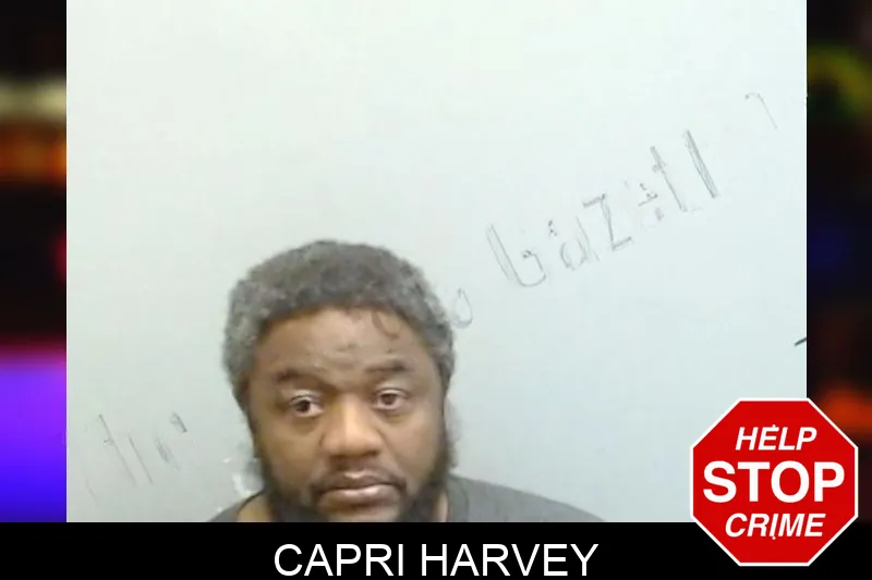 Capri Harvey mugshot – Fulton County , Georgia Capri Harvey mugshot