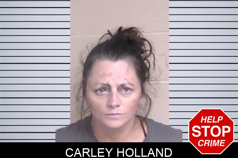 Carley Holland Mugshots