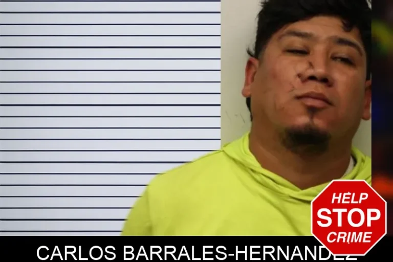 Carlos Barrales-Hernandez