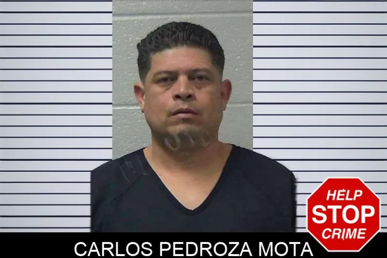 Carlos Pedroza Mota
