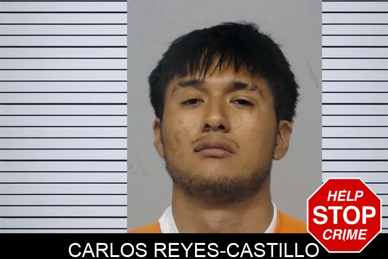 Carlos Reyes-Castillo