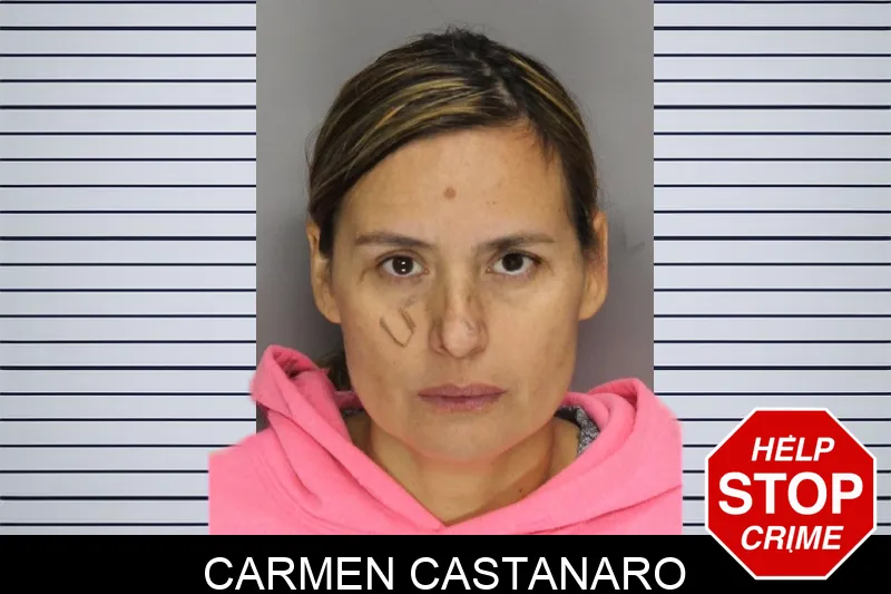 Carmen Castanaro mugshot – Cobb County , Georgia Carmen Castanaro mugshot