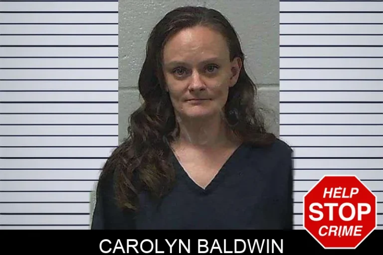 Carolyn Baldwin mugshot – Gilmer County , Georgia Carolyn Baldwin