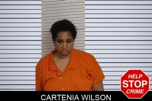 Cartenia Wilson mugshot