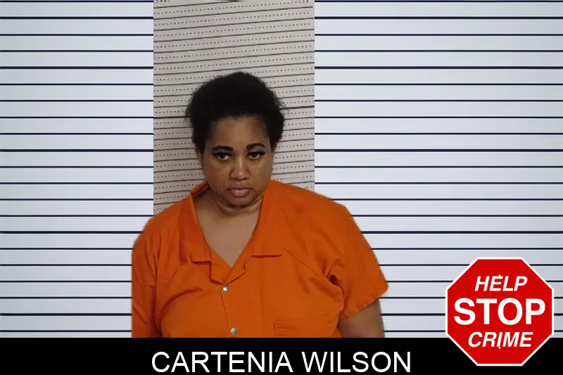 Cartenia Wilson Mugshots