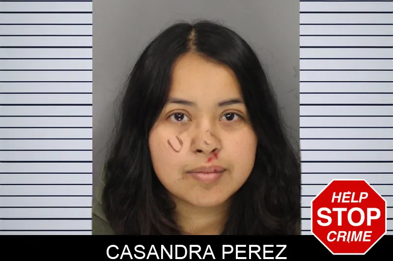 Casandra Perez Mugshots