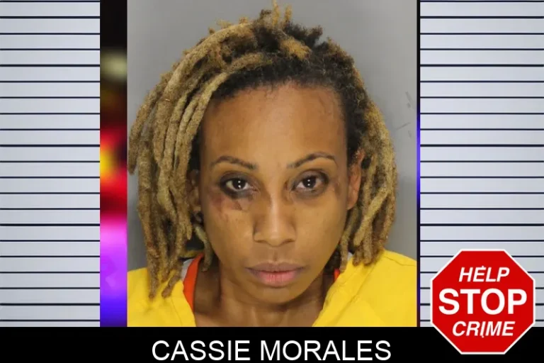 Cassie Morales mugshot – Cobb County , Georgia Cassie Morales