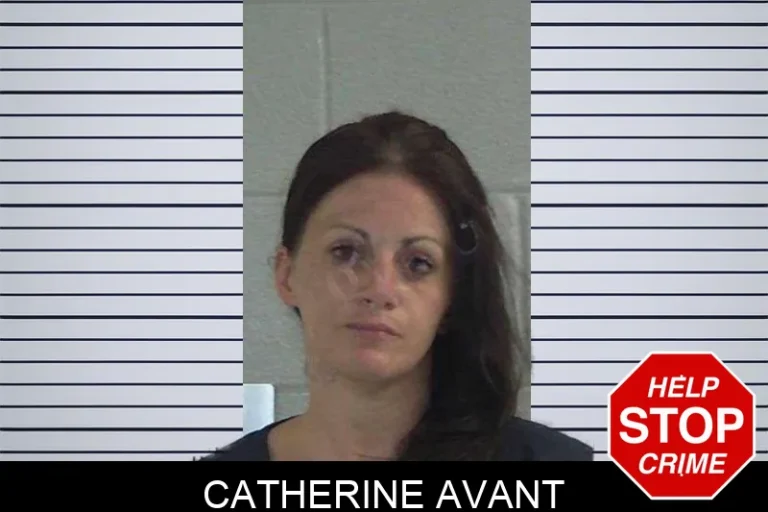 Catherine Avant mugshot – Gilmer County , Georgia Catherine Avant