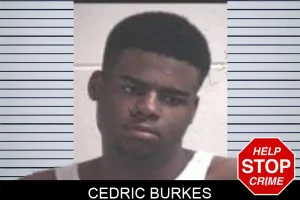 Cedric Burkes mugshot