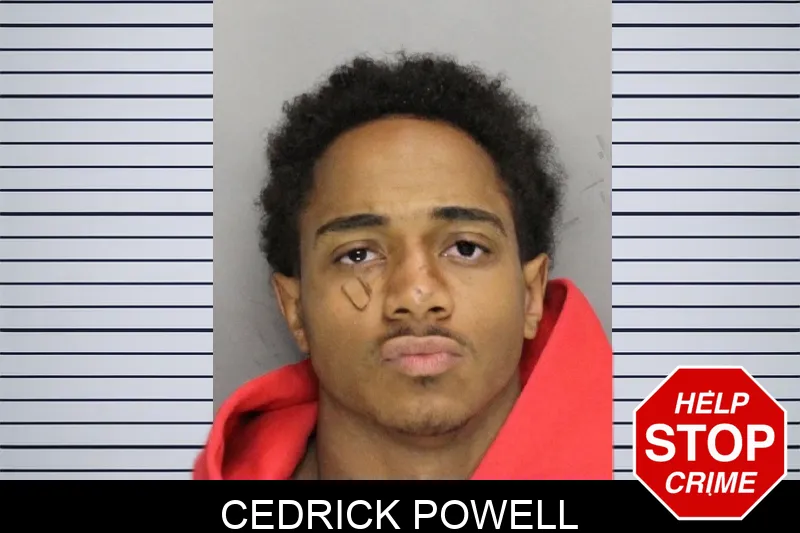 Cedrick Powell mugshot