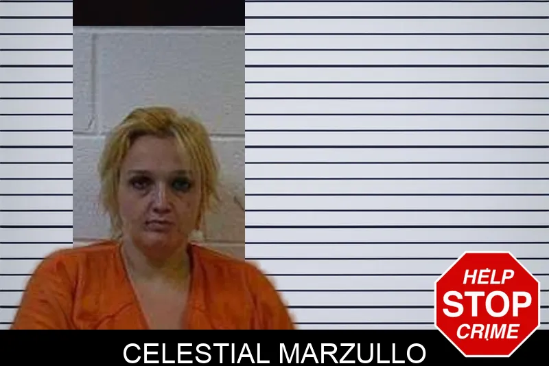 Celestial Marzullo Mugshots