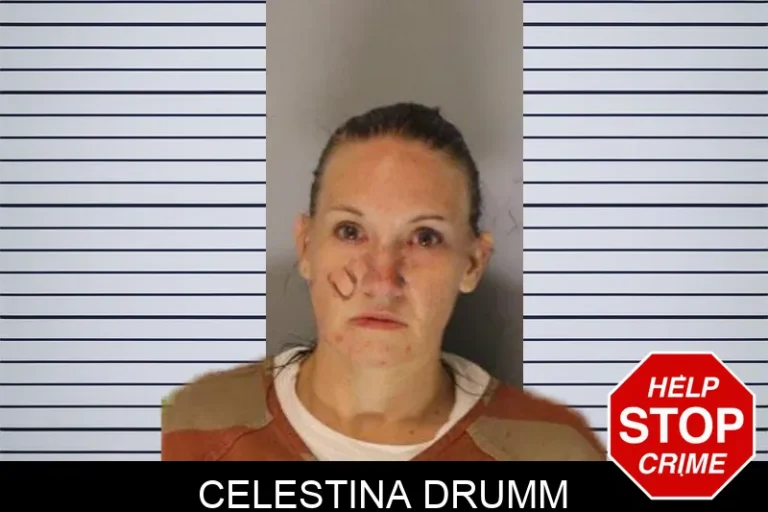 Celestina Drumm mugshot – Hall County , Georgia Celestina Drumm