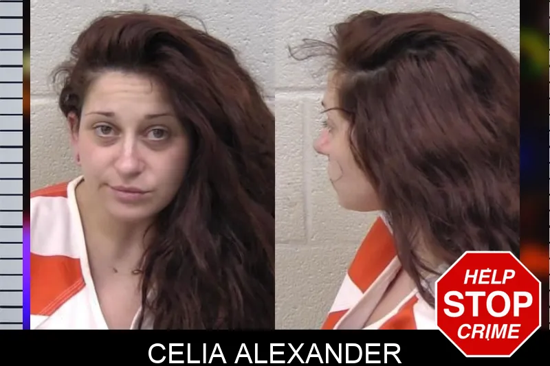 Celia Alexander Mugshots