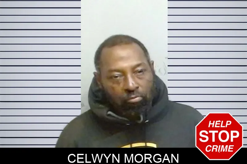 Celwyn Morgan mugshot – Fulton County , Georgia Celwyn Morgan mugshot