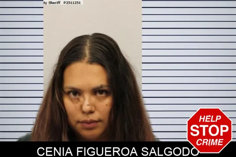 Cenia Figueroa Salgodo