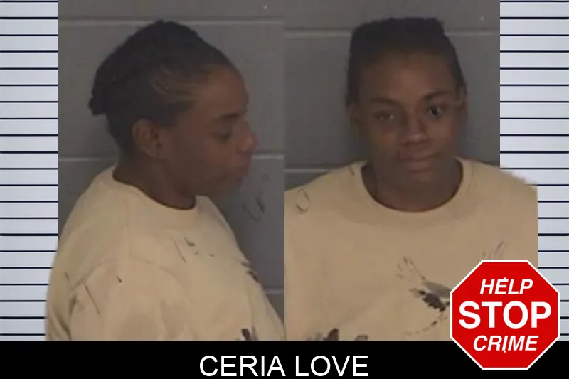 Ceria Love mugshot – Barrow County , Georgia Ceria Love mugshot