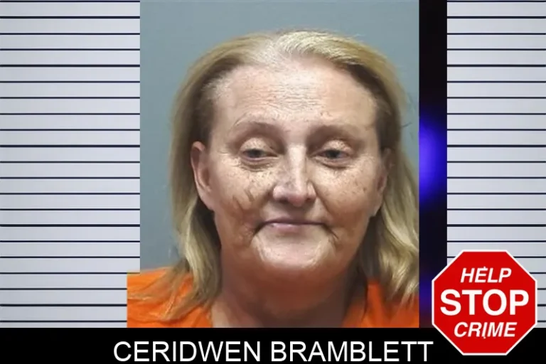 Ceridwen Bramblett mugshot – Cherokee County , Georgia Ceridwen Bramblett