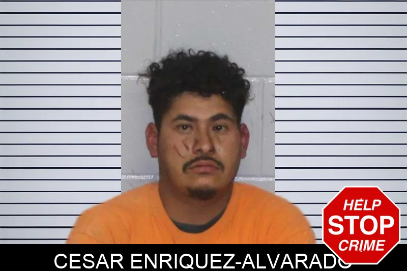Cesar Enriquez-Alvarado