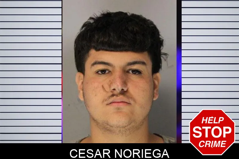 Cesar Noriega Mugshots
