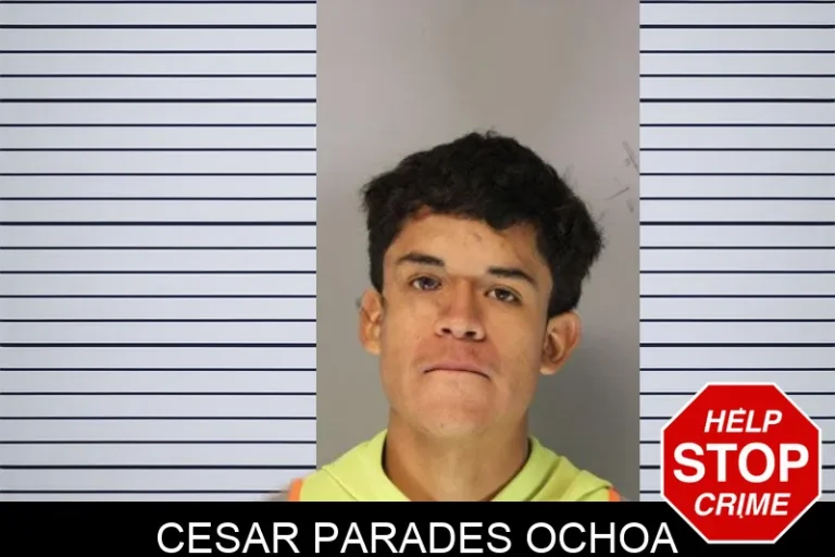 Cesar Parades Ochoa