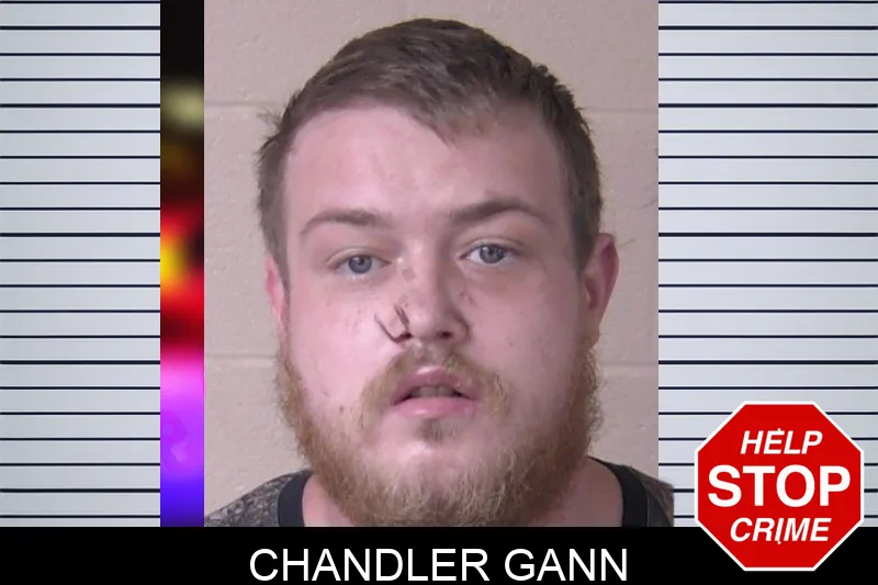 Chandler Gann mugshot
