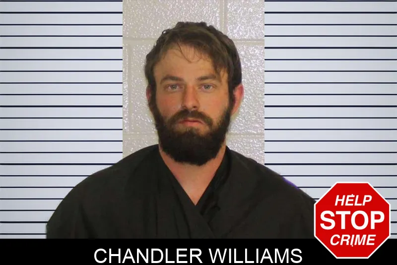 Chandler Williams mugshot – Carroll County , Georgia Chandler Williams mugshot
