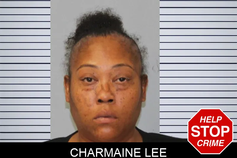 Charmaine Lee Mugshots