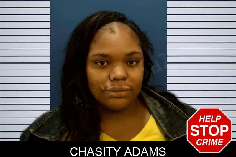Chasity Adams mugshot – Troup County , Georgia Chasity Adams mugshot