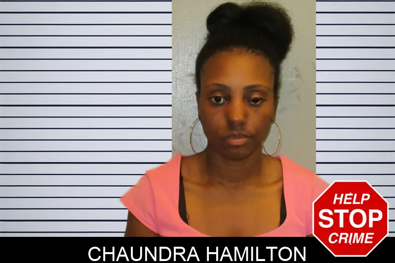 Chaundra Hamilton mugshot – Fulton County , Georgia Chaundra Hamilton mugshot