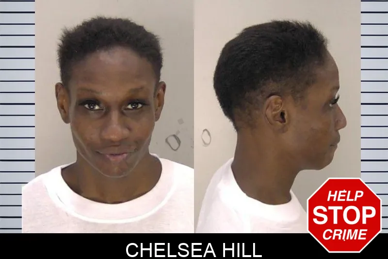 Chelsea Hill Mugshots