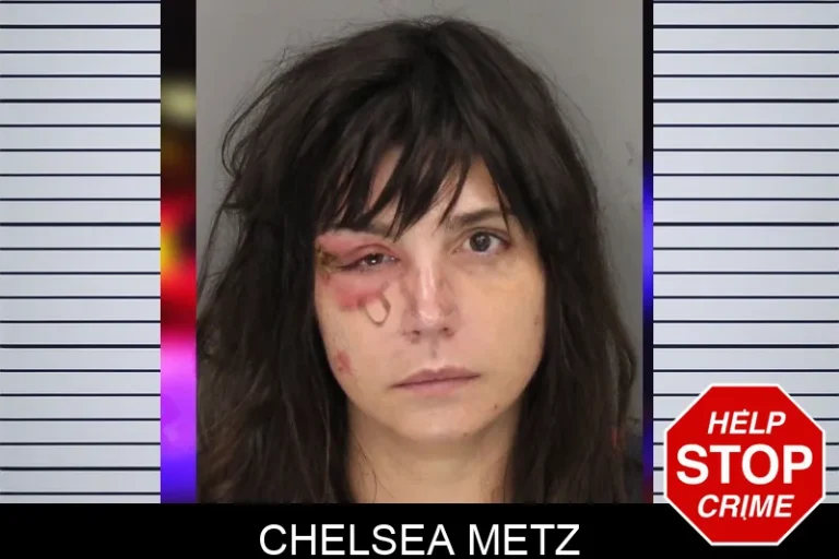 Chelsea Metz