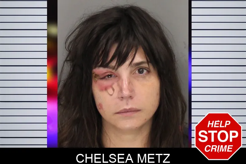 Chelsea Metz Mugshots