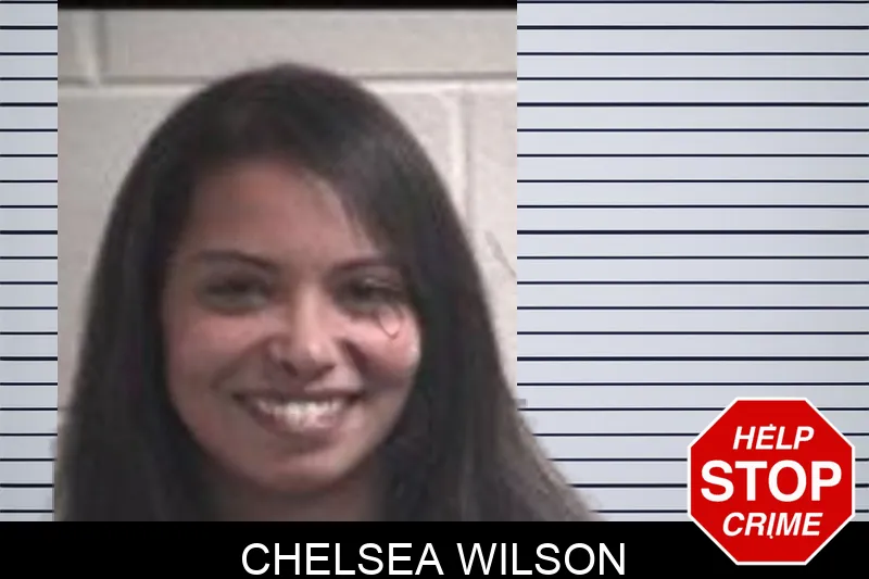 Chelsea Wilson mugshot – Henry County , Georgia Chelsea Wilson mugshot