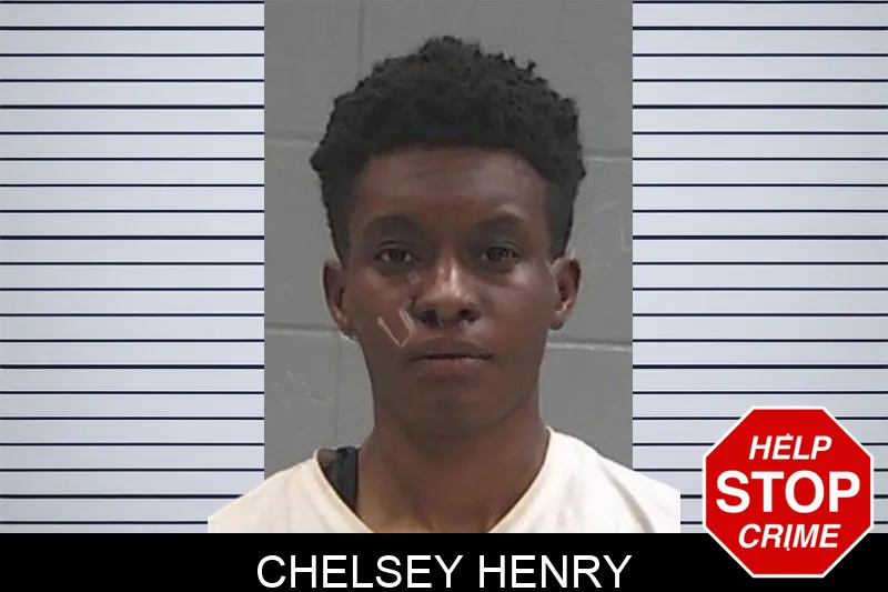 Chelsey Henry Mugshots