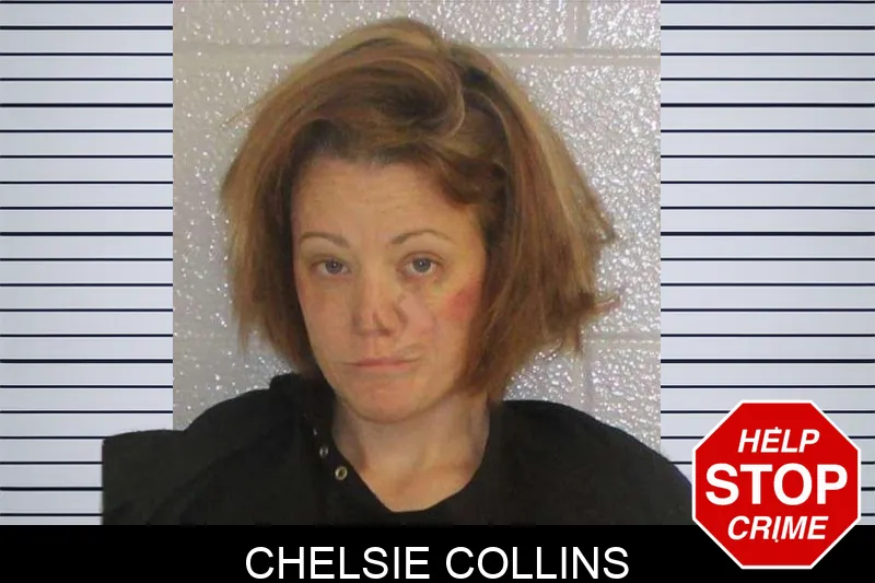 Chelsie Collins mugshot