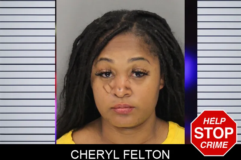 Cheryl Felton mugshot