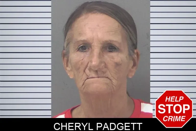 Cheryl Padgett