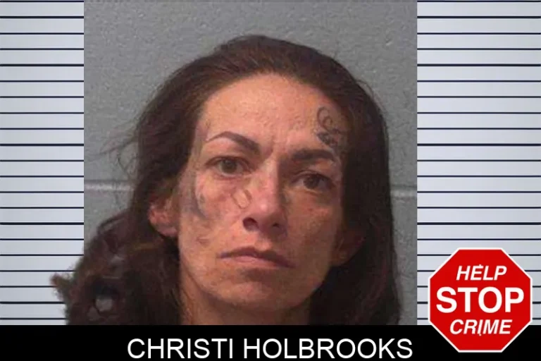 Christi Holbrooks mugshot – Franklin County , Georgia Christi Holbrooks