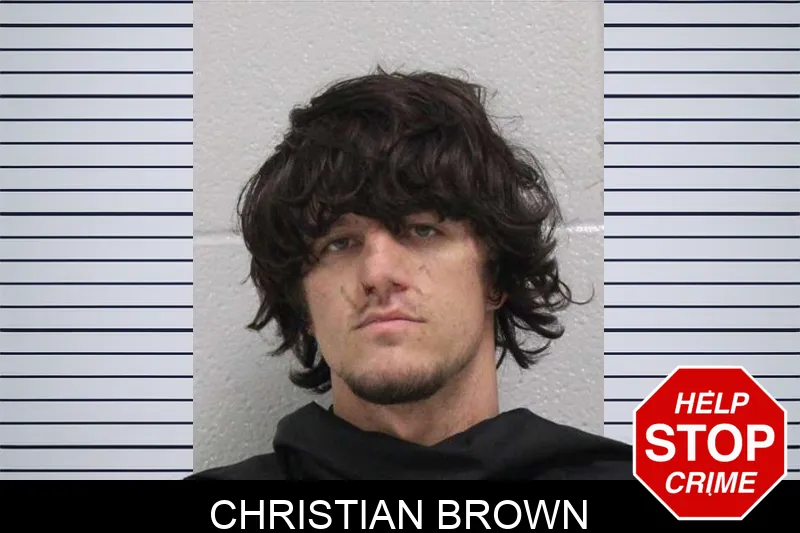 Christian Brown mugshot – Carroll County , Georgia Christian Brown mugshot