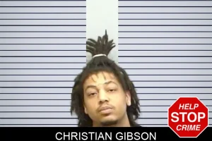 Christian Gibson mugshot