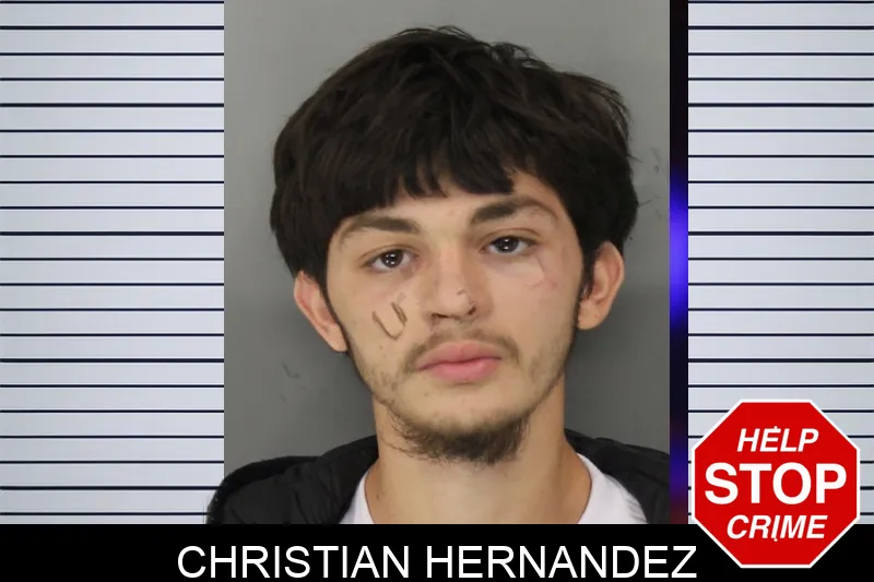 Christian Hernandez mugshot