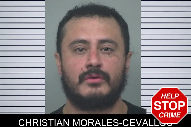 Christian Morales-Cevallos Mugshots