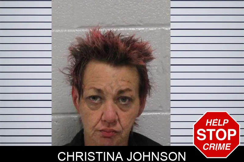 Christina Johnson mugshot