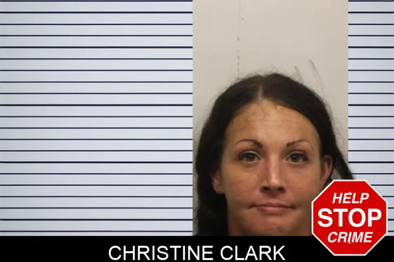 Christine Clark mugshot – Chatham County , Georgia Christine Clark
