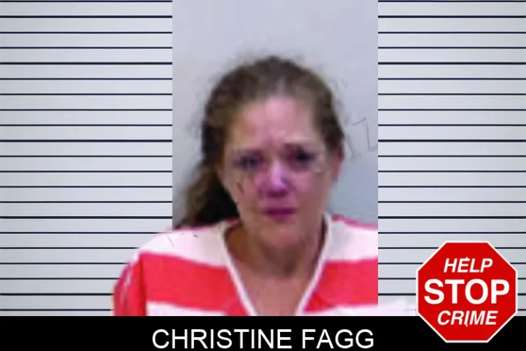Christine Fagg
