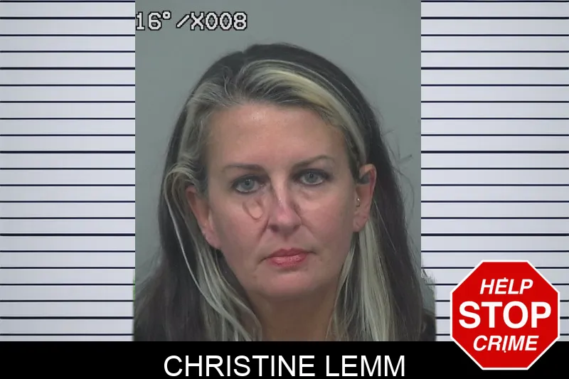 Christine Lemm mugshot – Gwinnett County , Georgia Christine Lemm mugshot