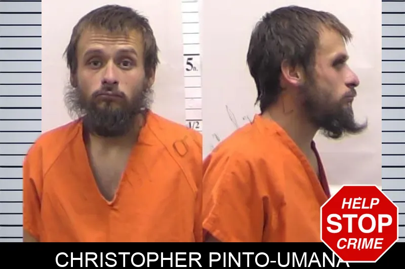 Christopher Pinto-Umana