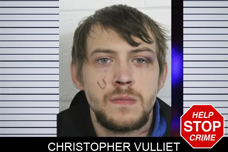 Christopher Vulliet mugshot